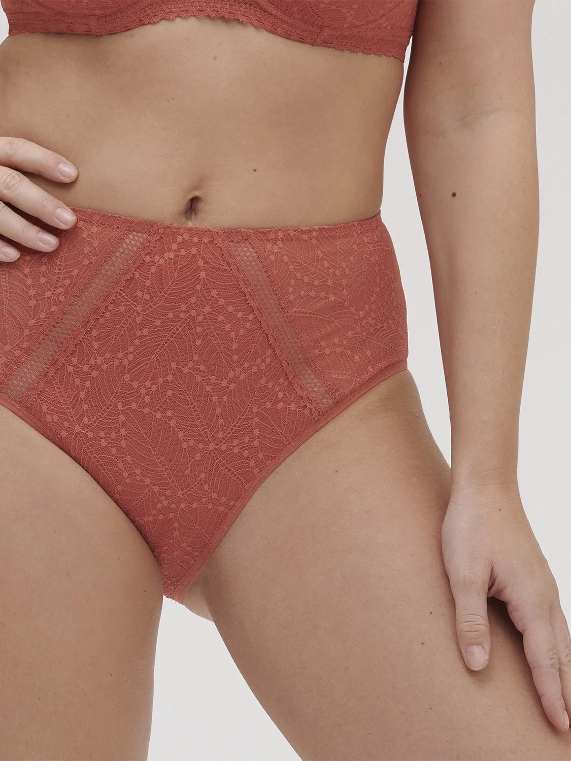 Comete Retro Brief - Texas Pink